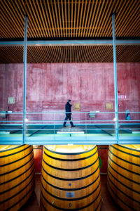 wine cellars of Pago de Carraovejas of the denomination of origin Ribera del Duero in Valladolid Spain Europe wine cellars of Pago de Carraovejas of the denomination of origin Ribera del Duero in Valladolid Spain Europe
